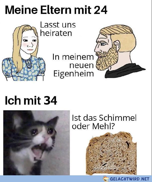 schimmel