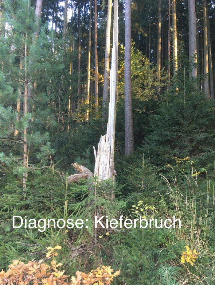 Schlime Konzigwensen