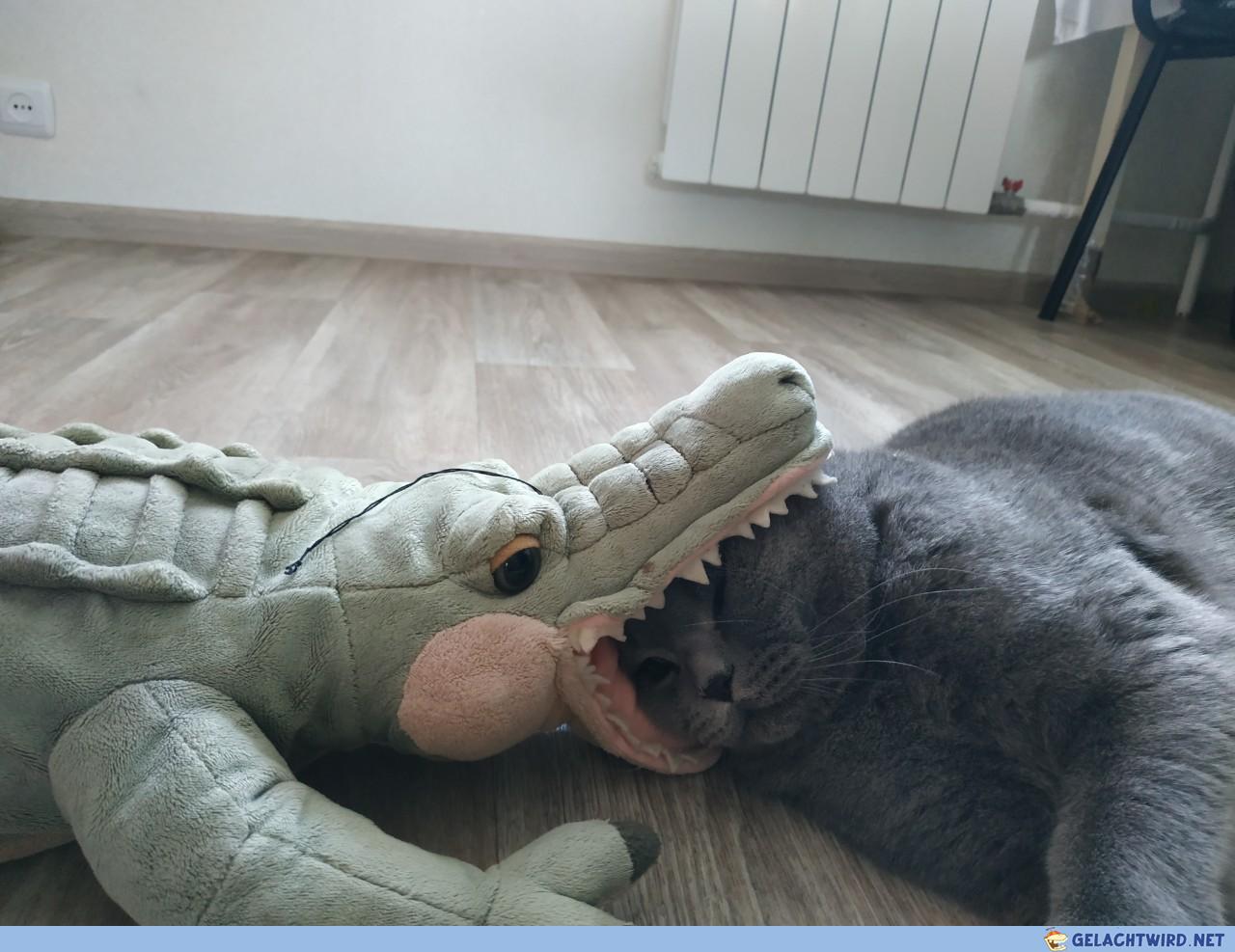 Schnappi-BKH-Crossover