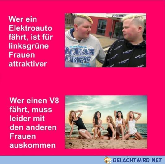 Schnappi stöhnte
