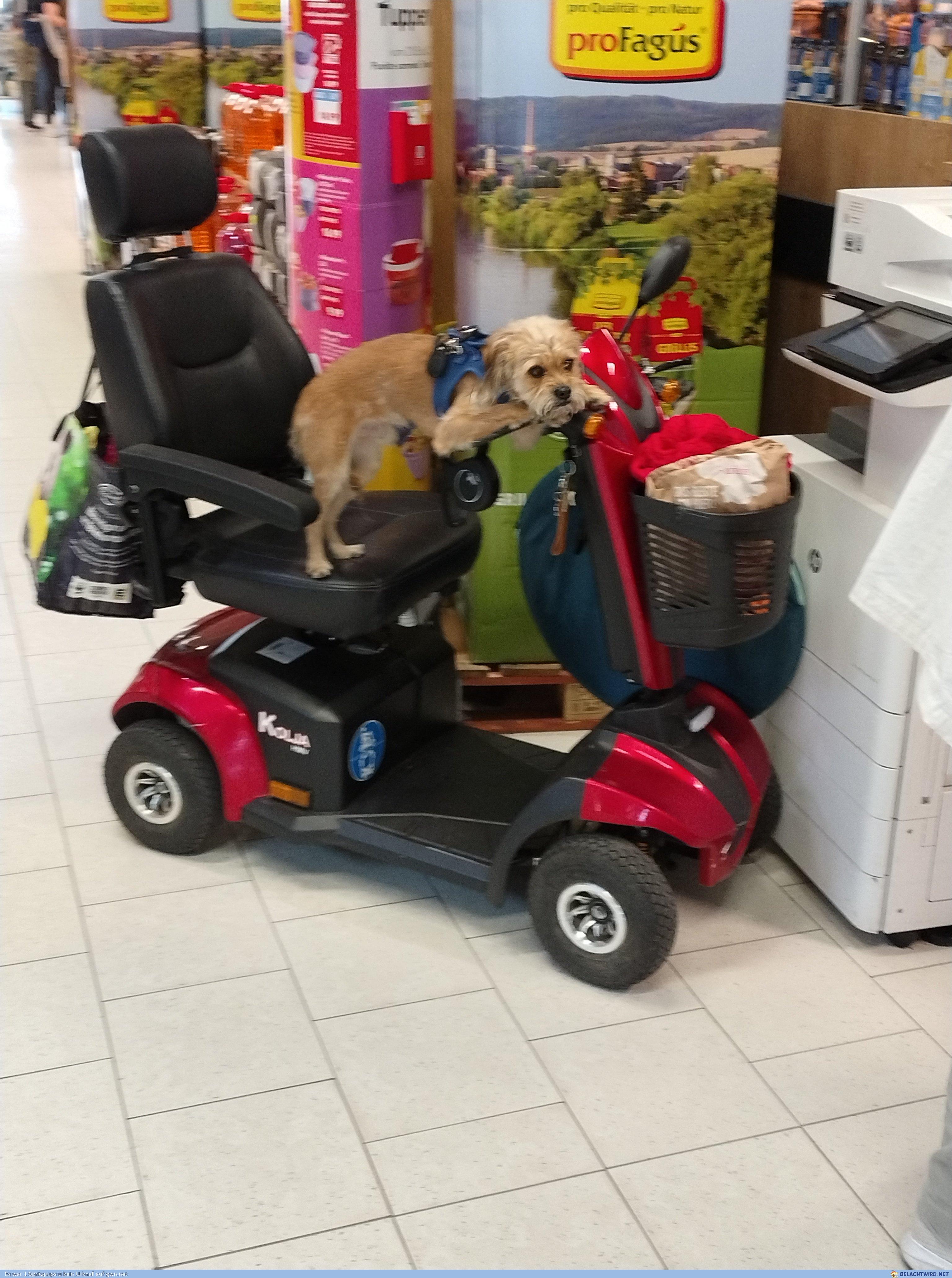 Schnappschuss von Einkaufmäh