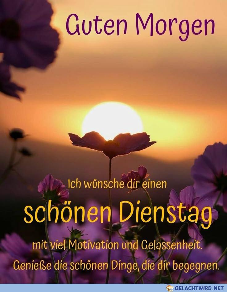 Schönen Dienstag