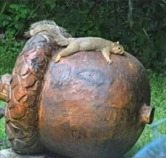 Scrat im RL