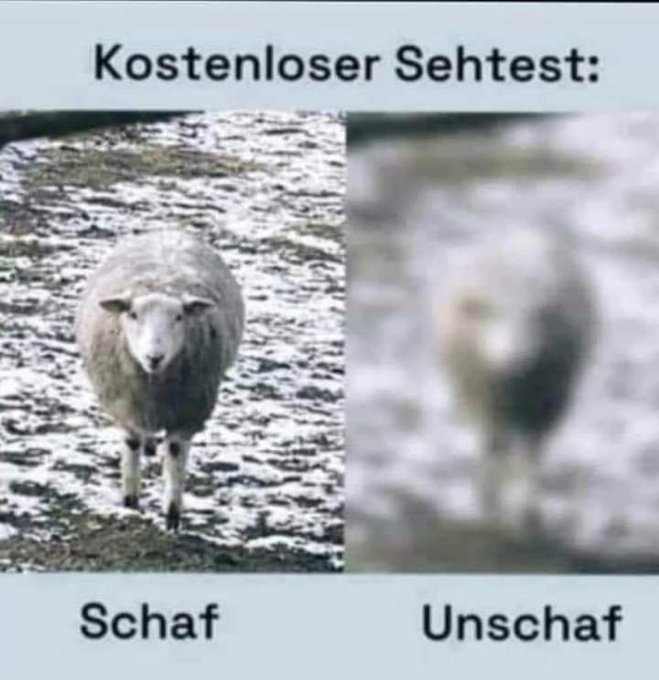 Sehtest