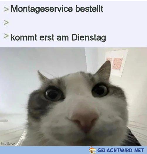 Servicewüste