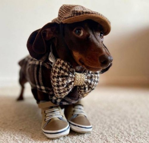 Sherlock HUNT