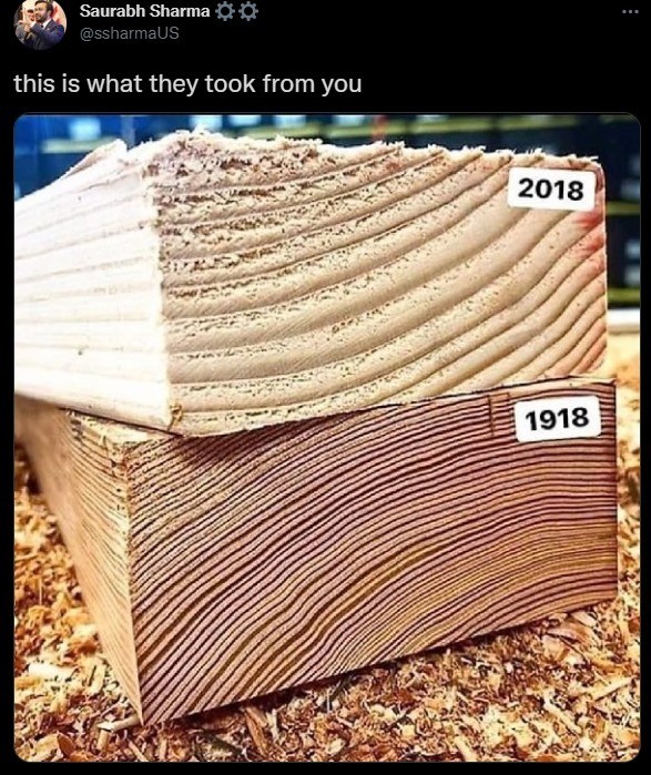 Sie klauen unser Holz