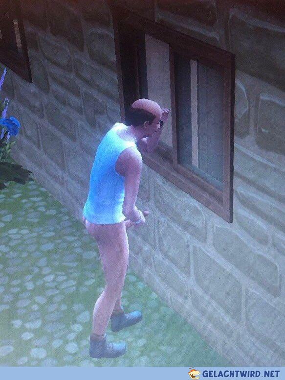 Skeletor spielt SIMS