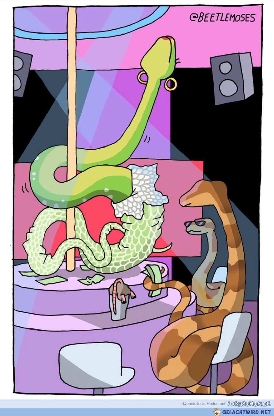 Snakeclub