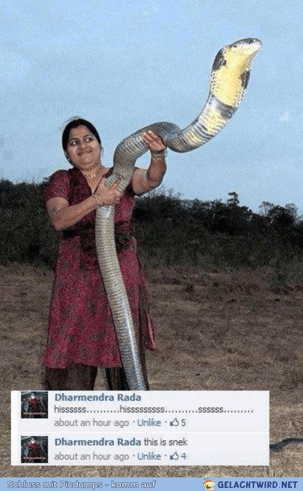 snek? snek? sneeeeek!