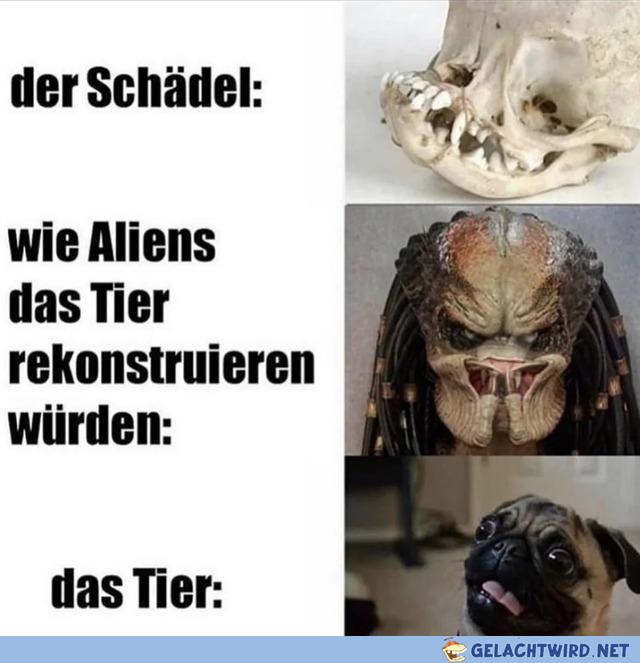 So ein Süßer