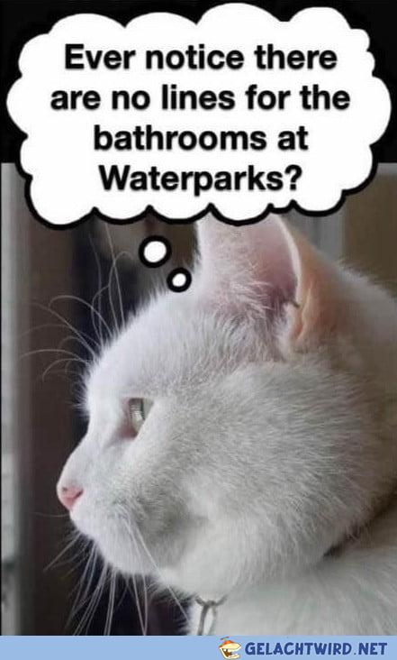So isses
