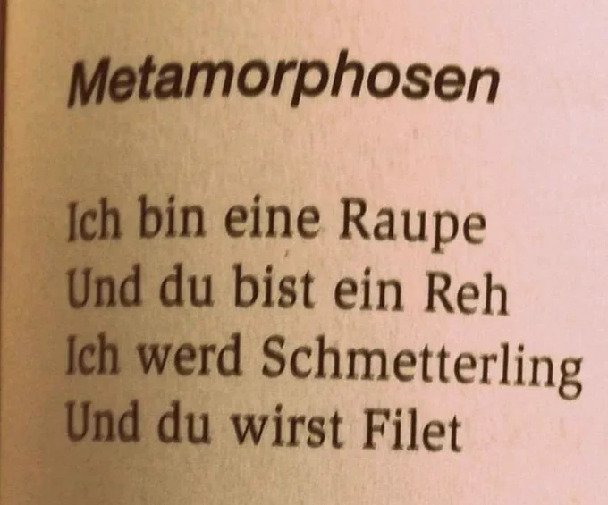 So sieht’s aus