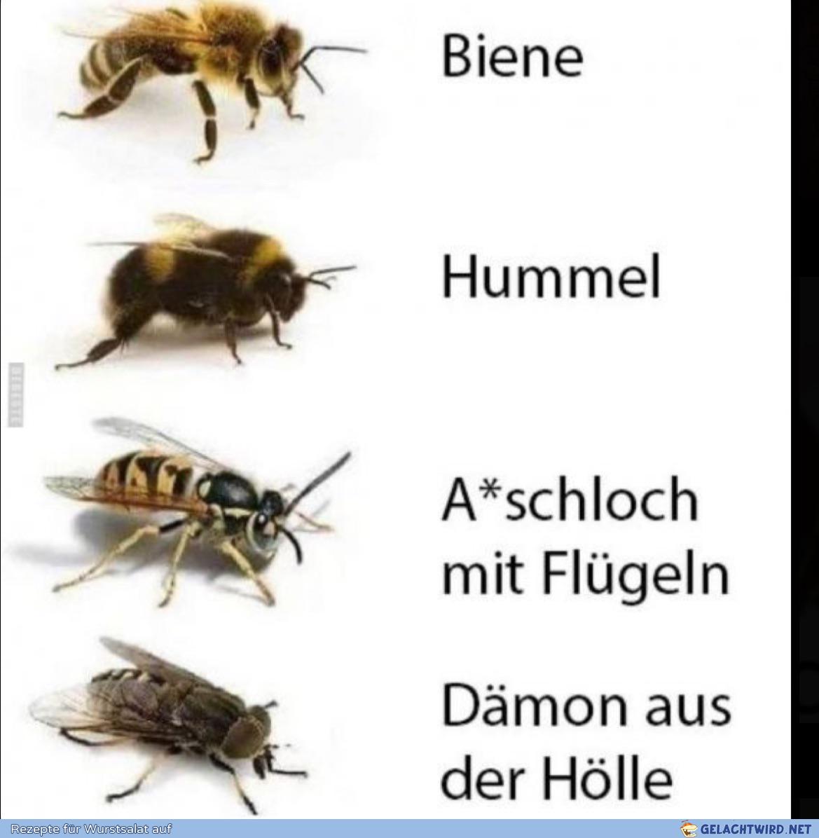So.
