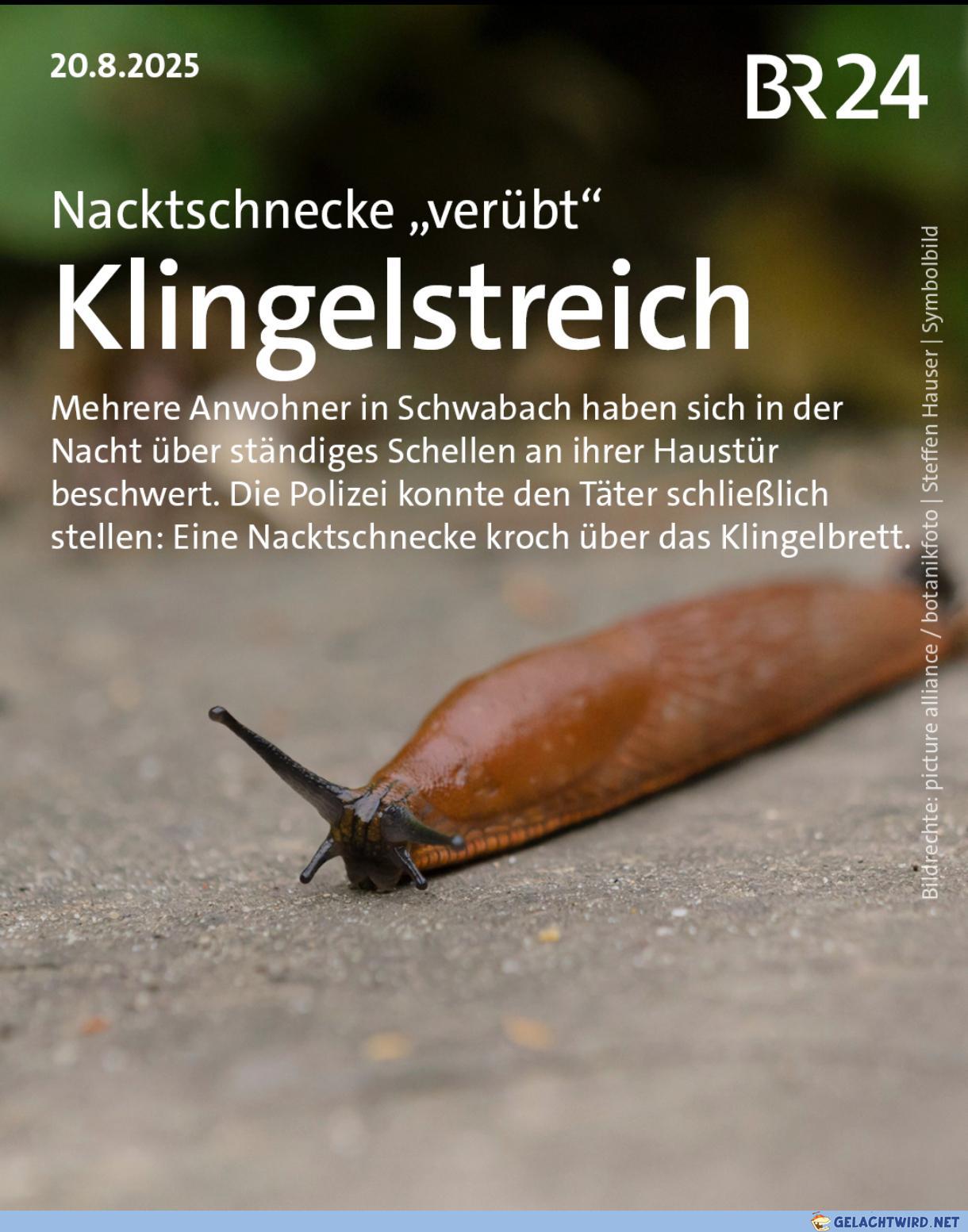 Sommerloch