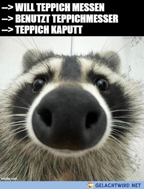 Son Mist aber auch