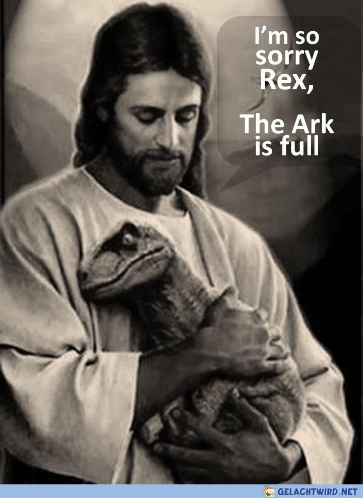 Sorry Rex