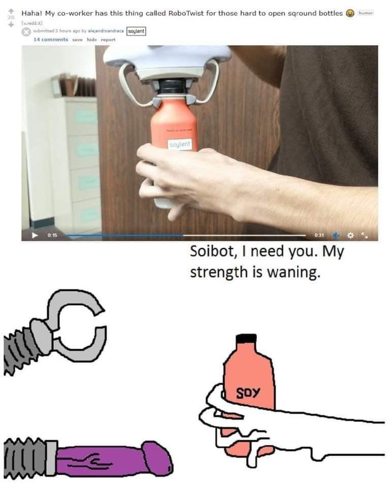soybot.jpeg