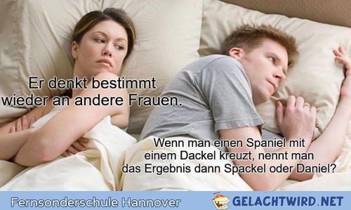 Spackel.jpg