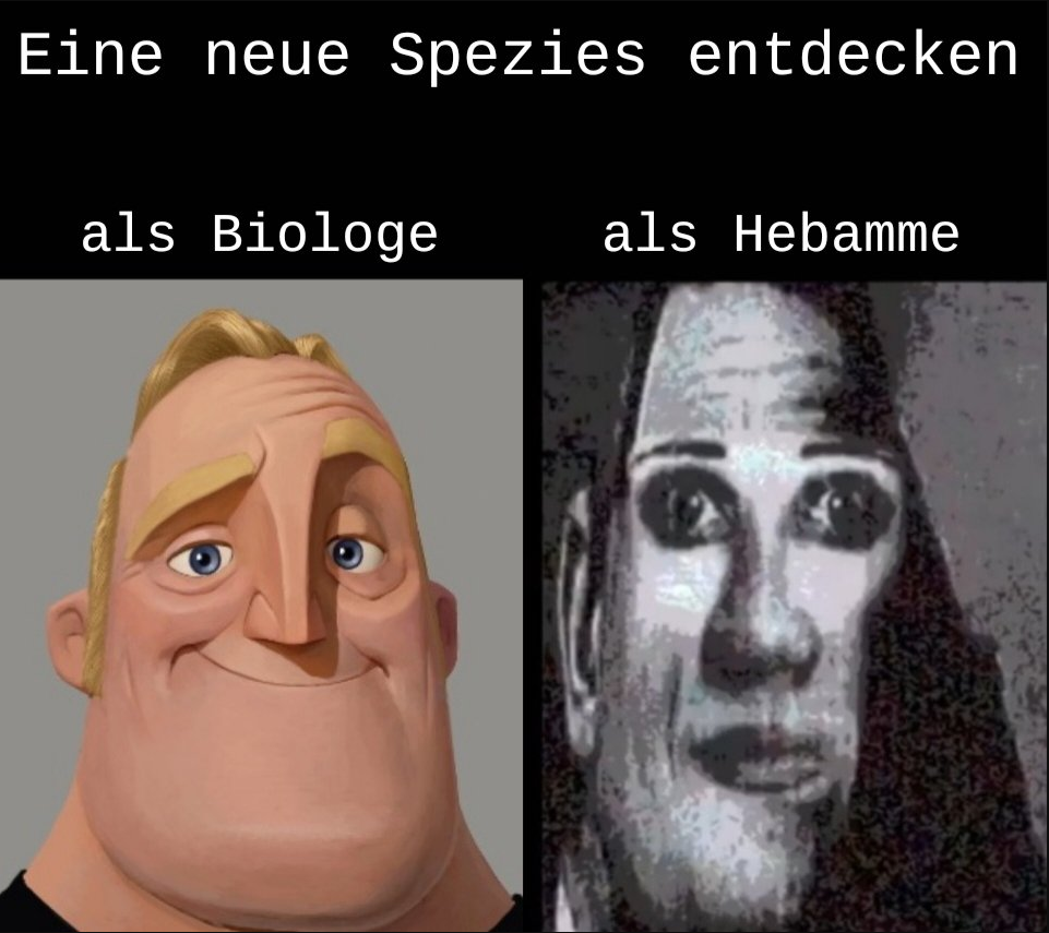 Spezies entdecken