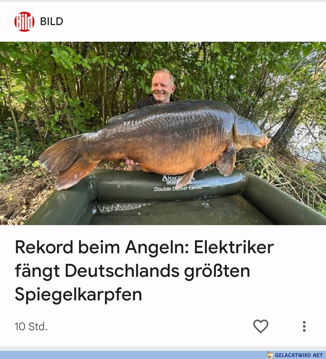 Spiegelkarpfne