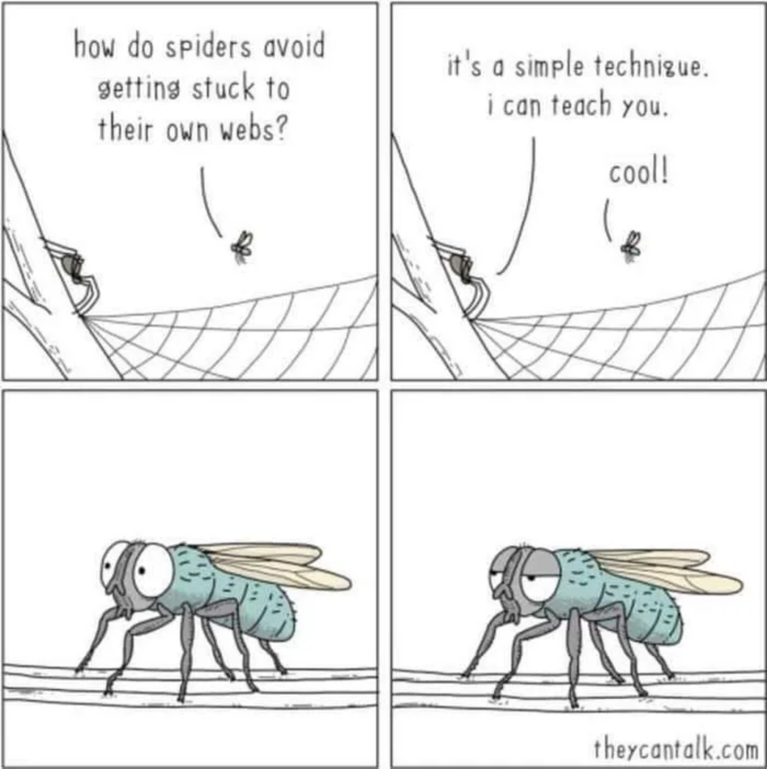 Spinnentricks