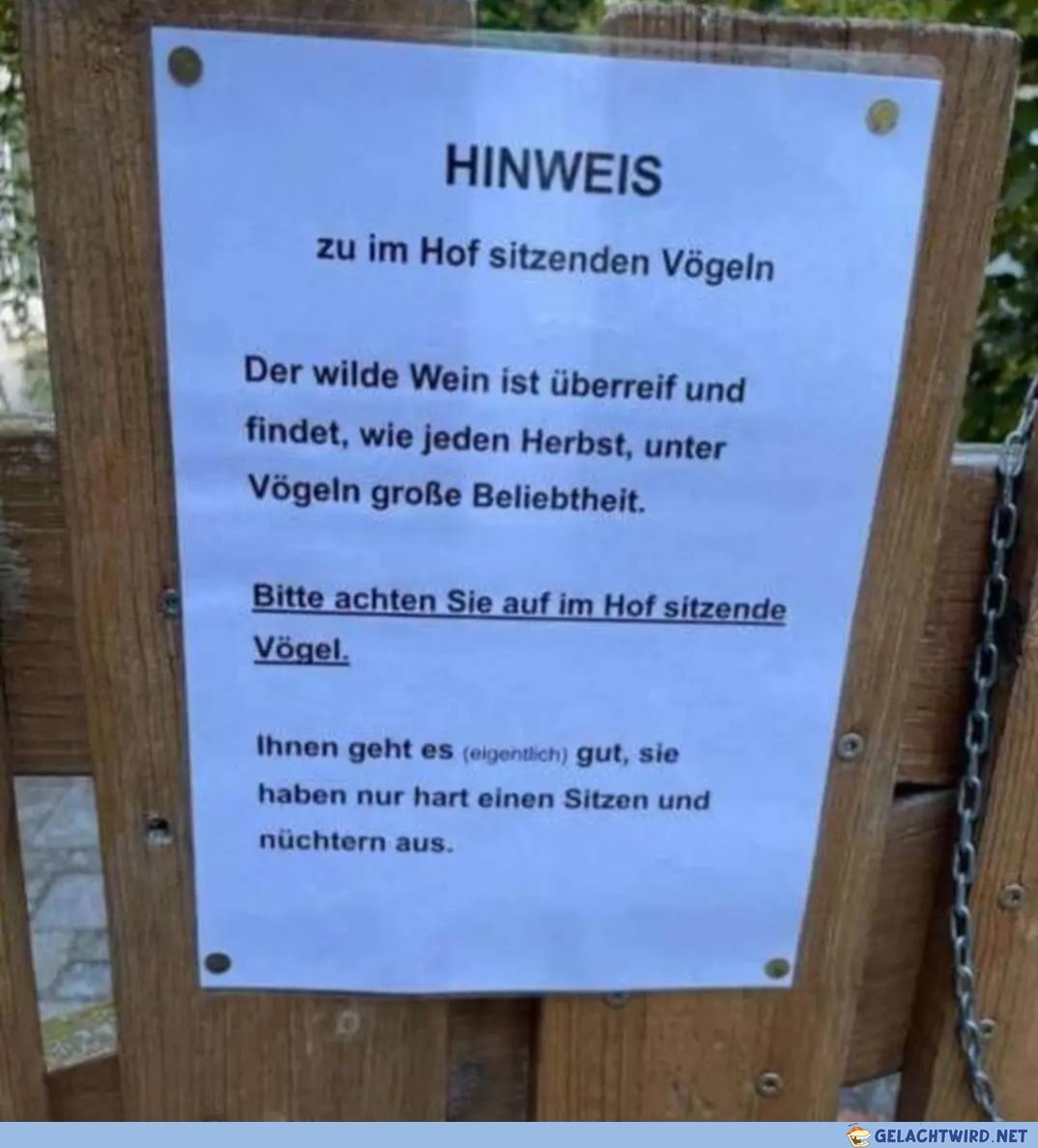 Stabile Vögels