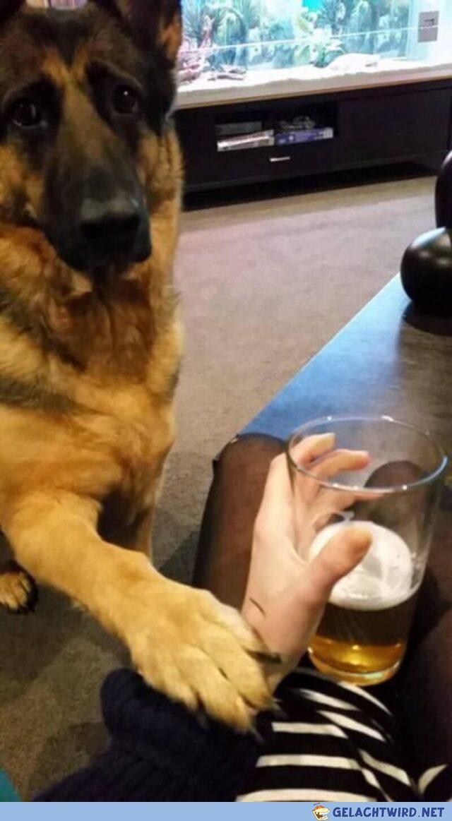 Stahp
