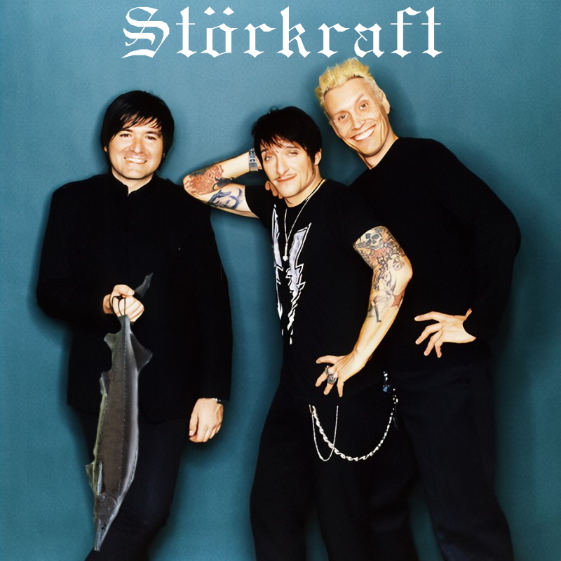 Störkraft