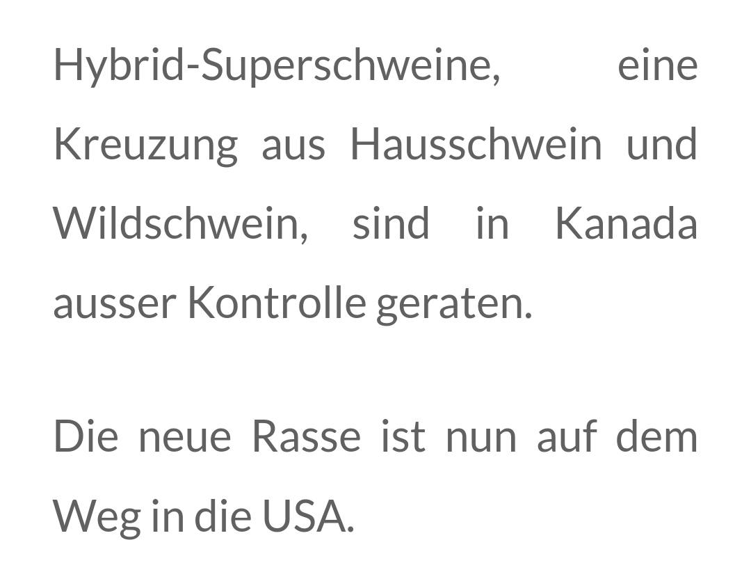Superschweinekrieg