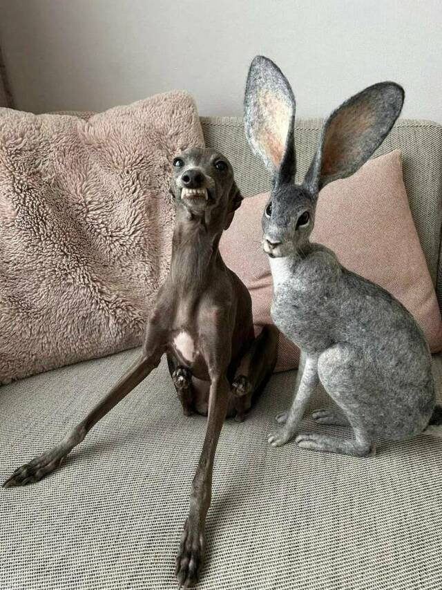 Süß!