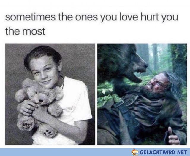 Süßer Teddy