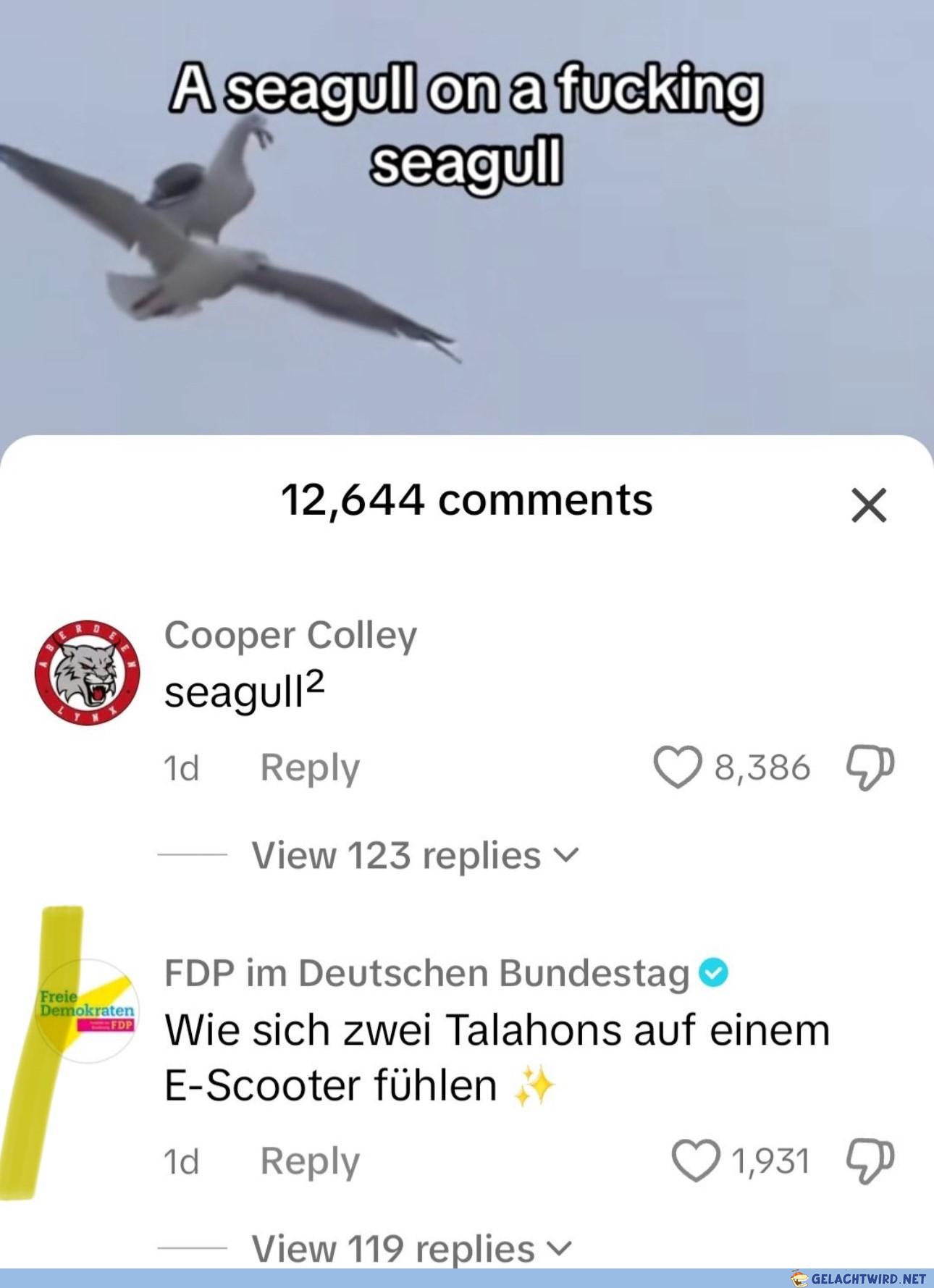 talahon
