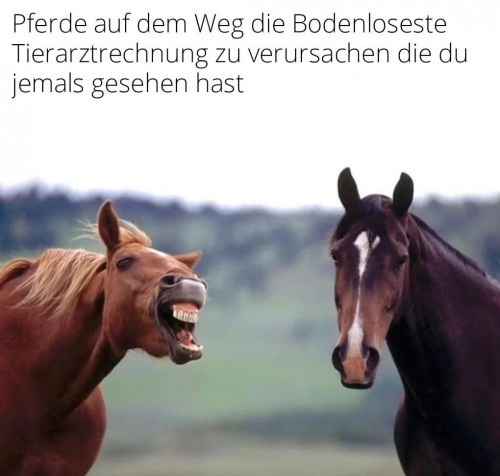 Teurer Spaß
