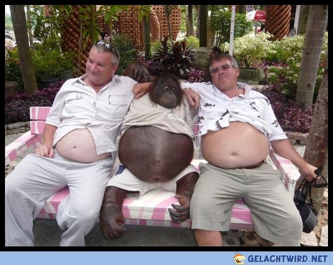 Three alike