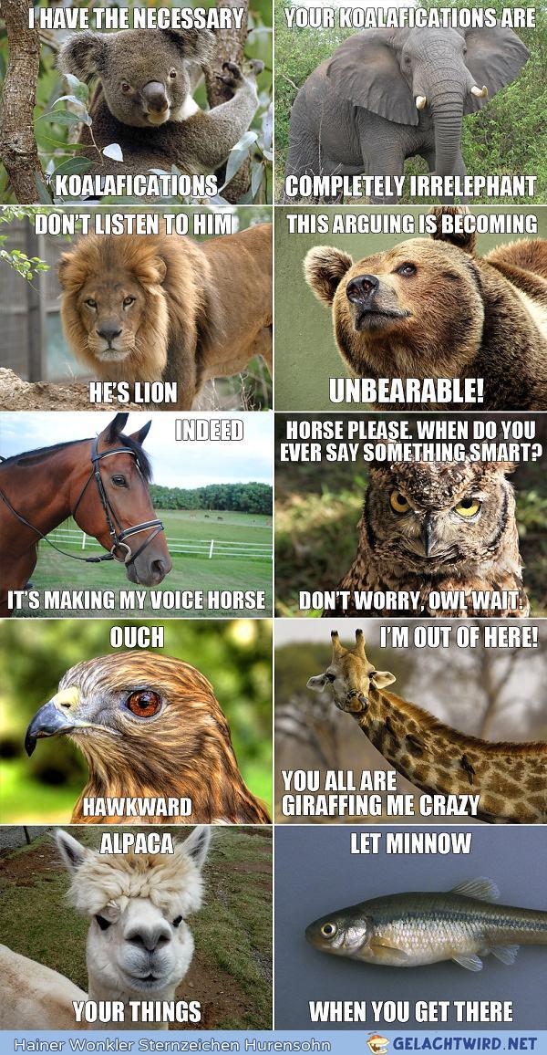 Tierisch