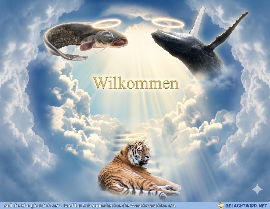 Tiger nun auch dod