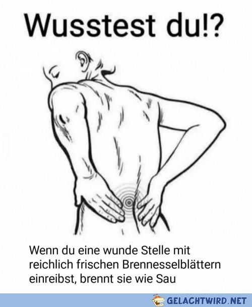 Tipp der Woche