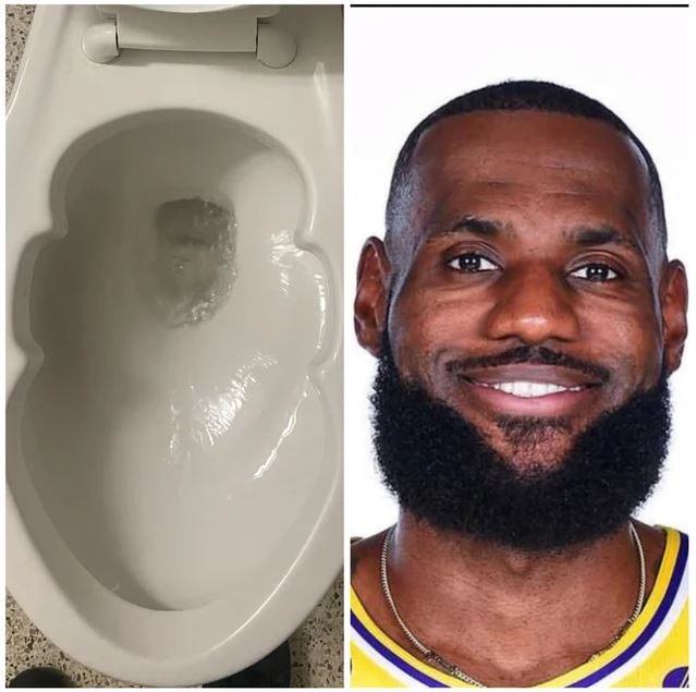 toilette