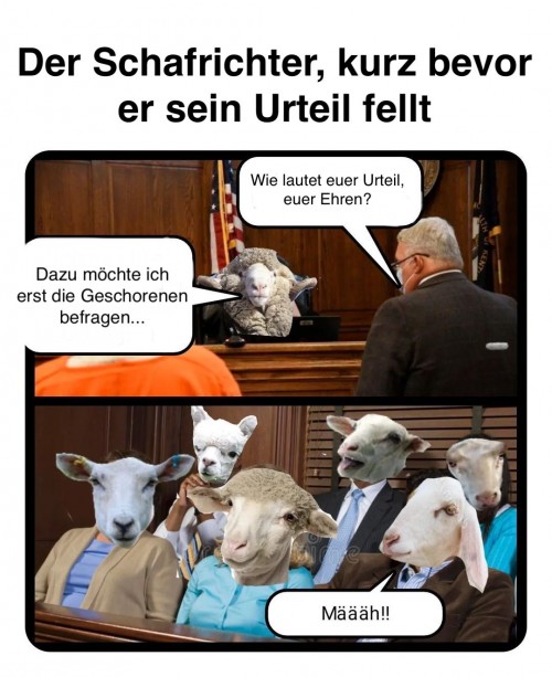 Total bescheuert