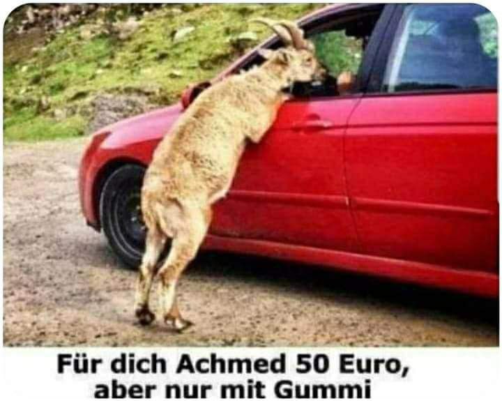 Treuerabatt muss sein