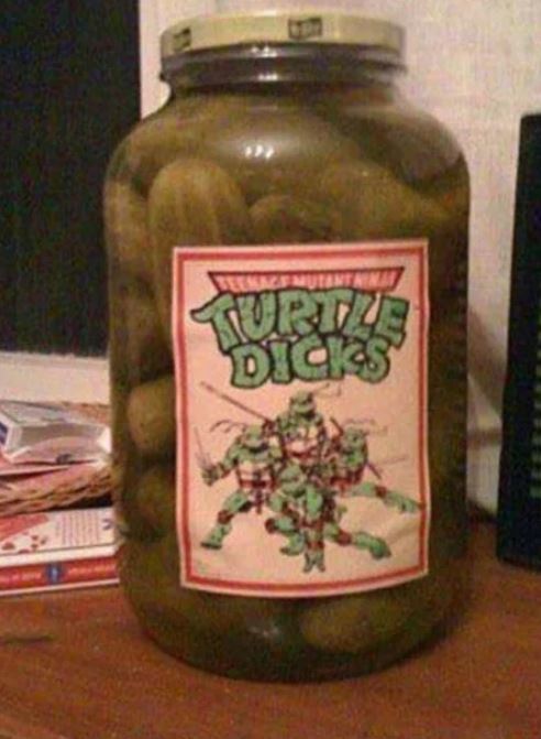 Turtles