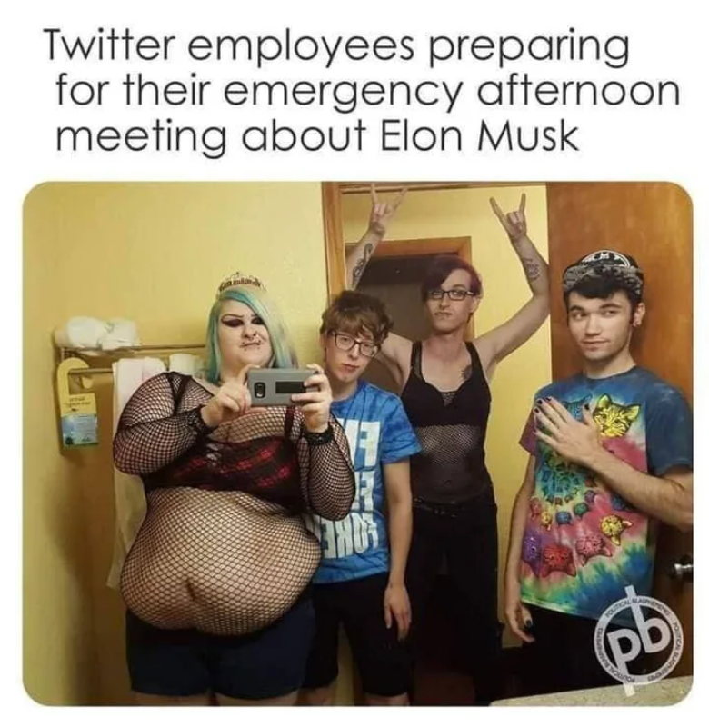 Twitter und Elon Musk