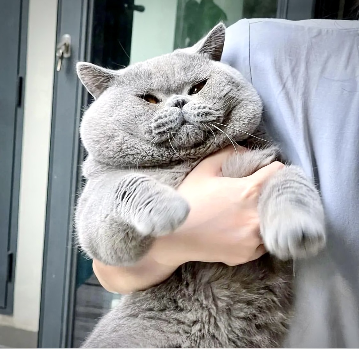 Uberchonk wird angehoben