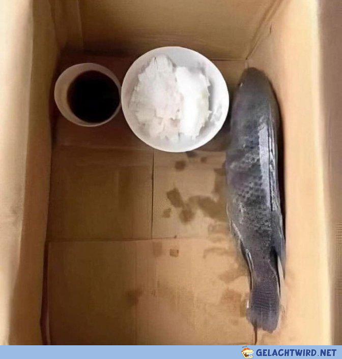 Unser Petfish