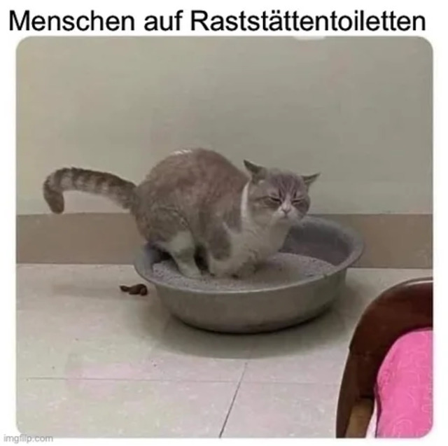 Upsi