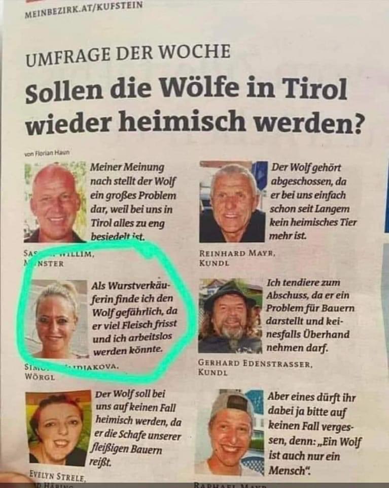 Verdammte Wölfe!