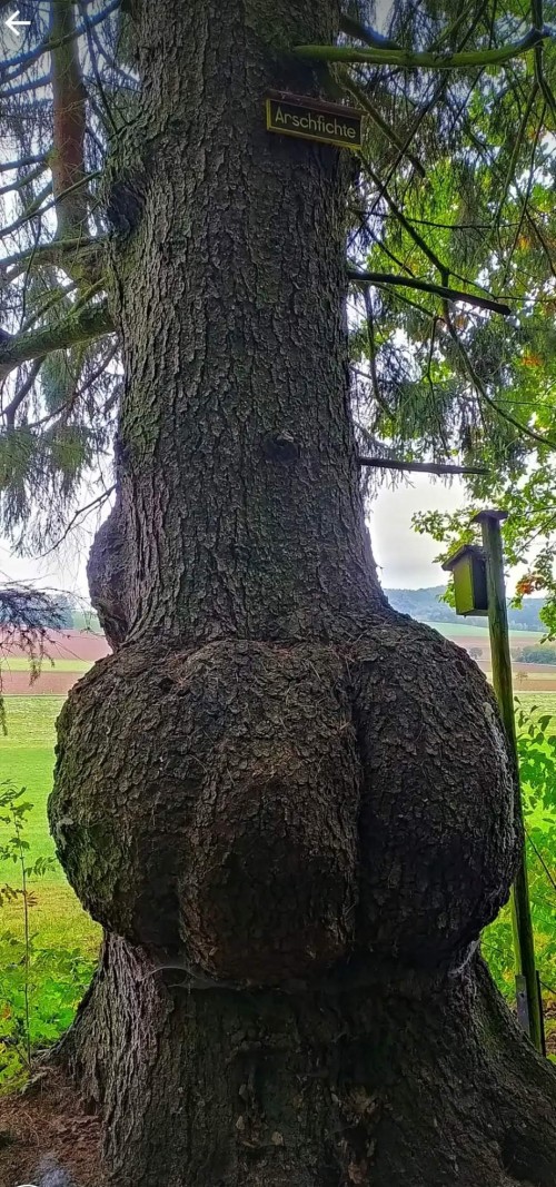 Verständlich
