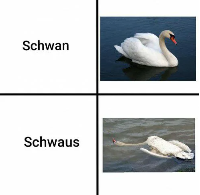 Verwechslungsgefahr