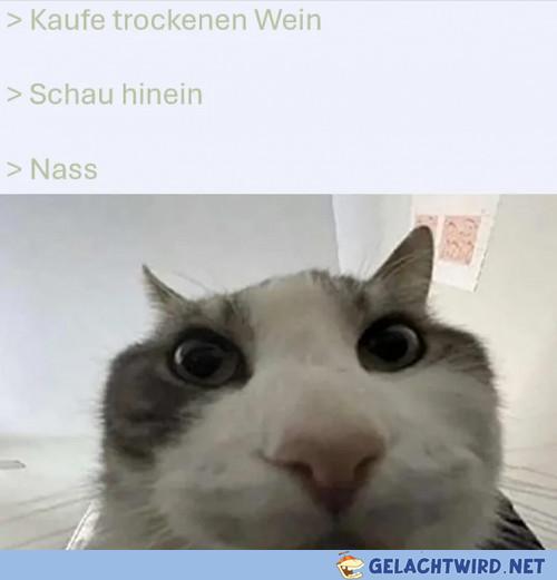Voll  der Scam
